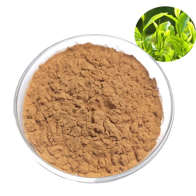 Green Tea Extract / EGCG